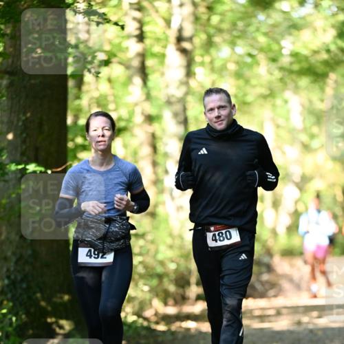 06.10.2024 - Bramfelder Halbmarathon 2024 Dr. Thomas Lammeyer http://msf.ph/oto/7337861 06.10.2024 10:23:36 Laufen 492, 480 meine-sportfotos.de