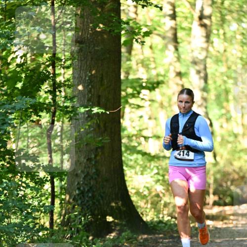 06.10.2024 - Bramfelder Halbmarathon 2024 Dr. Thomas Lammeyer http://msf.ph/oto/7337887 06.10.2024 10:23:45 Laufen 414 meine-sportfotos.de
