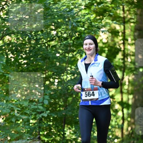06.10.2024 - Bramfelder Halbmarathon 2024 Dr. Thomas Lammeyer http://msf.ph/oto/7338013 06.10.2024 10:24:38 Laufen 564, 20 meine-sportfotos.de