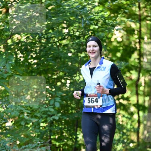 06.10.2024 - Bramfelder Halbmarathon 2024 Dr. Thomas Lammeyer http://msf.ph/oto/7338014 06.10.2024 10:24:38 Laufen 564, 120 meine-sportfotos.de