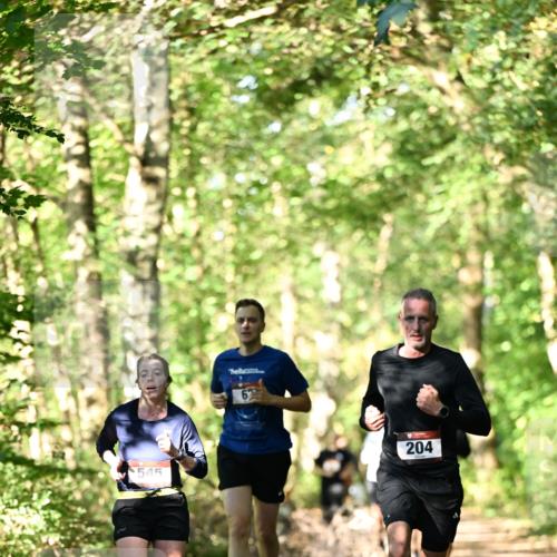 06.10.2024 - Bramfelder Halbmarathon 2024 Dr. Thomas Lammeyer http://msf.ph/oto/7338050 06.10.2024 10:24:47 Laufen 545, 6, 204 meine-sportfotos.de