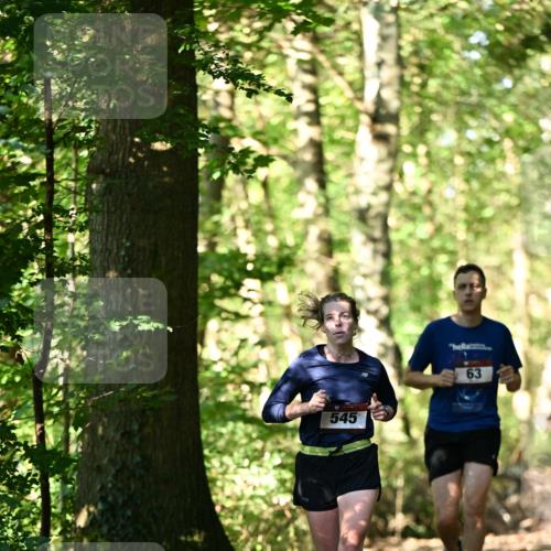 06.10.2024 - Bramfelder Halbmarathon 2024 Dr. Thomas Lammeyer http://msf.ph/oto/7338054 06.10.2024 10:24:48 Laufen 545, 1962, 63 meine-sportfotos.de