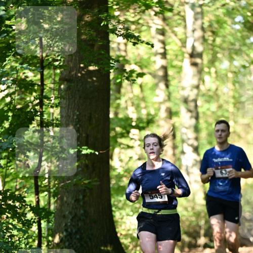 06.10.2024 - Bramfelder Halbmarathon 2024 Dr. Thomas Lammeyer http://msf.ph/oto/7338057 06.10.2024 10:24:48 Laufen 545 meine-sportfotos.de