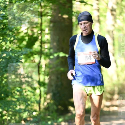 06.10.2024 - Bramfelder Halbmarathon 2024 Dr. Thomas Lammeyer http://msf.ph/oto/7338084 06.10.2024 10:24:54 Laufen 84 meine-sportfotos.de