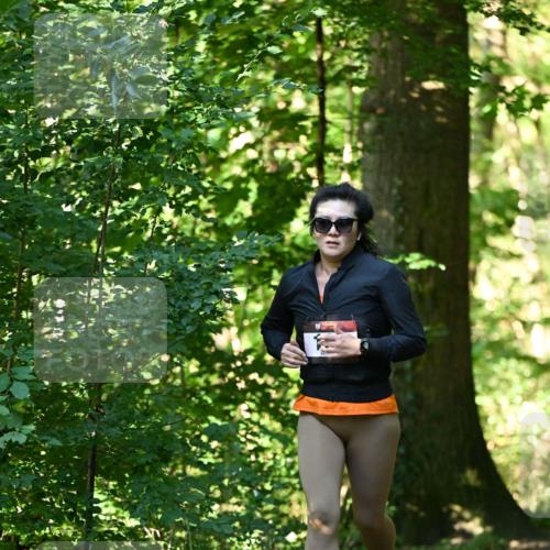 06.10.2024 - Bramfelder Halbmarathon 2024 Dr. Thomas Lammeyer http://msf.ph/oto/7338149 06.10.2024 10:25:17 Laufen  meine-sportfotos.de