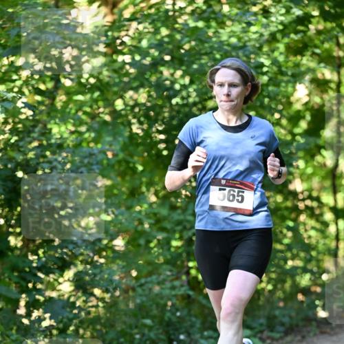 06.10.2024 - Bramfelder Halbmarathon 2024 Dr. Thomas Lammeyer http://msf.ph/oto/7338167 06.10.2024 10:25:22 Laufen 565 meine-sportfotos.de