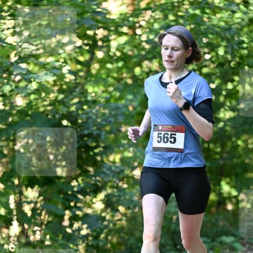 06.10.2024 - Bramfelder Halbmarathon 2024 Dr. Thomas Lammeyer http://msf.ph/oto/7338169 06.10.2024 10:25:22 Laufen 565 meine-sportfotos.de