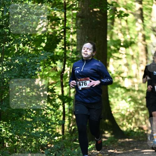 06.10.2024 - Bramfelder Halbmarathon 2024 Dr. Thomas Lammeyer http://msf.ph/oto/7338171 06.10.2024 10:25:43 Laufen 476 meine-sportfotos.de