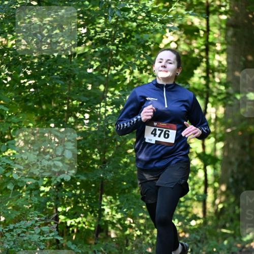 06.10.2024 - Bramfelder Halbmarathon 2024 Dr. Thomas Lammeyer http://msf.ph/oto/7338178 06.10.2024 10:25:44 Laufen 476, 162 meine-sportfotos.de