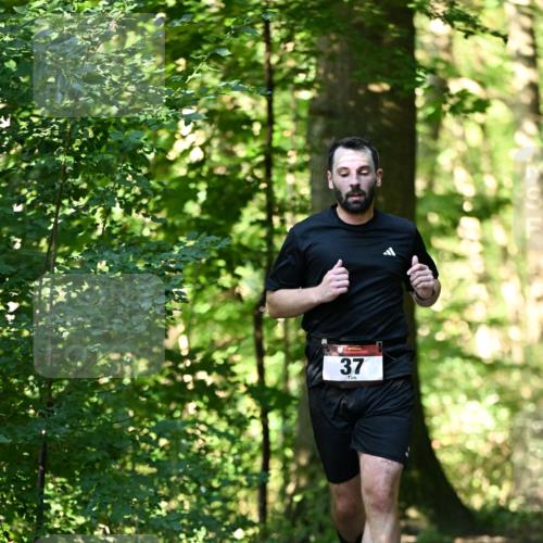 06.10.2024 - Bramfelder Halbmarathon 2024 Dr. Thomas Lammeyer http://msf.ph/oto/7338197 06.10.2024 10:25:48 Laufen 37 meine-sportfotos.de