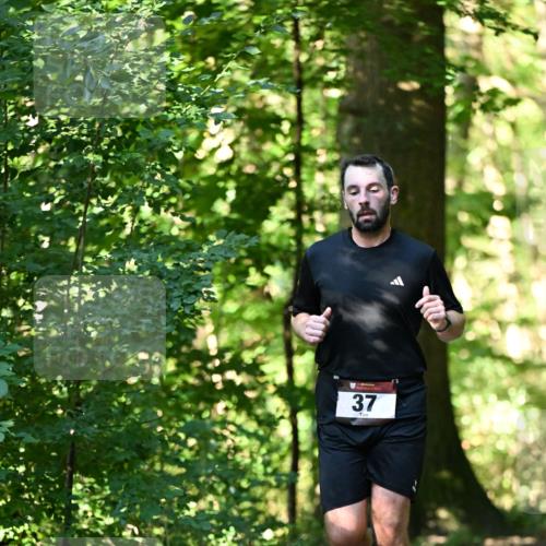 06.10.2024 - Bramfelder Halbmarathon 2024 Dr. Thomas Lammeyer http://msf.ph/oto/7338198 06.10.2024 10:25:48 Laufen 37 meine-sportfotos.de