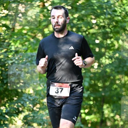 06.10.2024 - Bramfelder Halbmarathon 2024 Dr. Thomas Lammeyer http://msf.ph/oto/7338212 06.10.2024 10:25:50 Laufen 37 meine-sportfotos.de