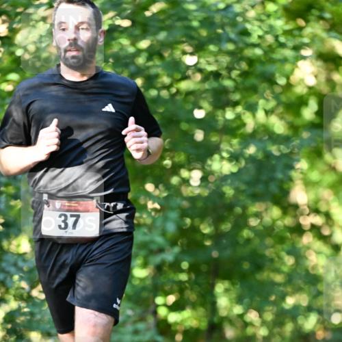 06.10.2024 - Bramfelder Halbmarathon 2024 Dr. Thomas Lammeyer http://msf.ph/oto/7338213 06.10.2024 10:25:50 Laufen 37 meine-sportfotos.de