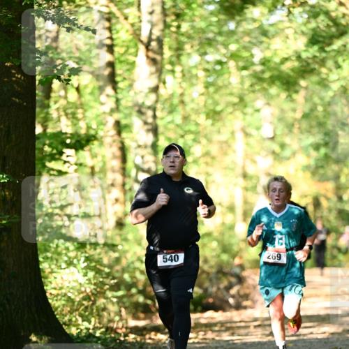 06.10.2024 - Bramfelder Halbmarathon 2024 Dr. Thomas Lammeyer http://msf.ph/oto/7338311 06.10.2024 10:26:24 Laufen 540, 269 meine-sportfotos.de