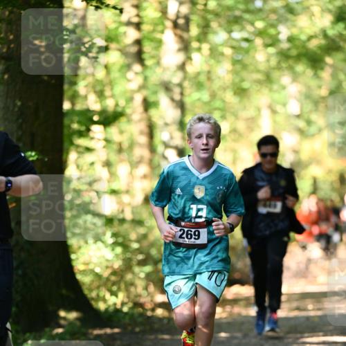 06.10.2024 - Bramfelder Halbmarathon 2024 Dr. Thomas Lammeyer http://msf.ph/oto/7338326 06.10.2024 10:26:26 Laufen 269, 4446 meine-sportfotos.de