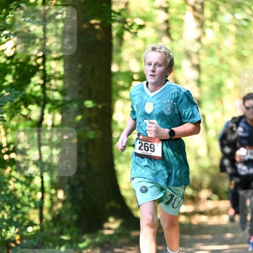 06.10.2024 - Bramfelder Halbmarathon 2024 Dr. Thomas Lammeyer http://msf.ph/oto/7338333 06.10.2024 10:26:27 Laufen 269, 10 meine-sportfotos.de