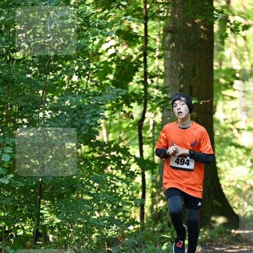 06.10.2024 - Bramfelder Halbmarathon 2024 Dr. Thomas Lammeyer http://msf.ph/oto/7338371 06.10.2024 10:26:40 Laufen 494 meine-sportfotos.de
