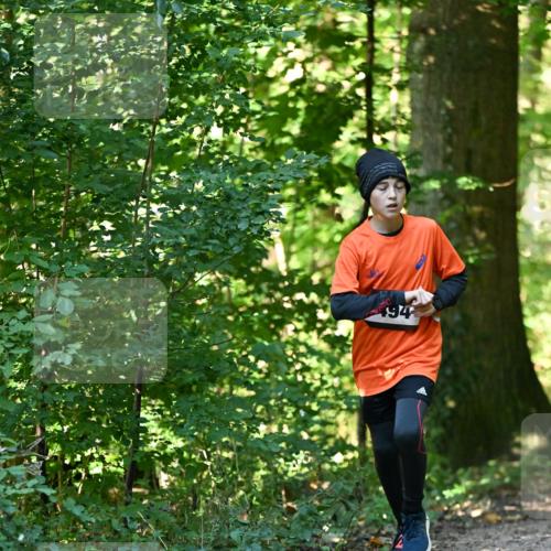 06.10.2024 - Bramfelder Halbmarathon 2024 Dr. Thomas Lammeyer http://msf.ph/oto/7338374 06.10.2024 10:26:41 Laufen 494 meine-sportfotos.de