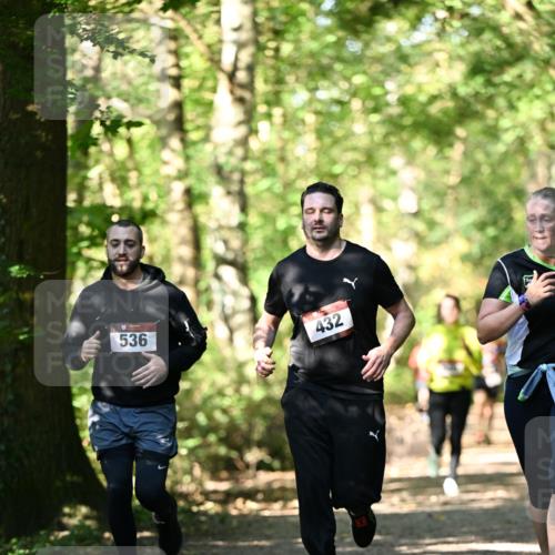 06.10.2024 - Bramfelder Halbmarathon 2024 Dr. Thomas Lammeyer http://msf.ph/oto/7338388 06.10.2024 10:26:46 Laufen 536, 432 meine-sportfotos.de