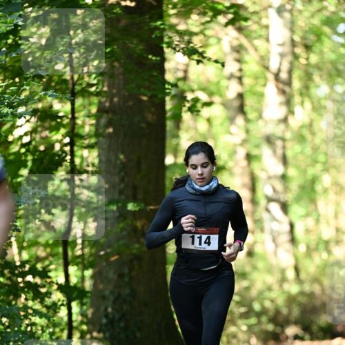 06.10.2024 - Bramfelder Halbmarathon 2024 Dr. Thomas Lammeyer http://msf.ph/oto/7338443 06.10.2024 10:27:01 Laufen 114 meine-sportfotos.de
