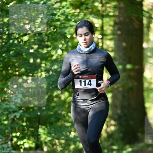 06.10.2024 - Bramfelder Halbmarathon 2024 Dr. Thomas Lammeyer http://msf.ph/oto/7338453 06.10.2024 10:27:03 Laufen 114 meine-sportfotos.de