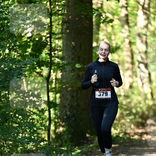 06.10.2024 - Bramfelder Halbmarathon 2024 Dr. Thomas Lammeyer http://msf.ph/oto/7338483 06.10.2024 10:27:11 Laufen 379 meine-sportfotos.de