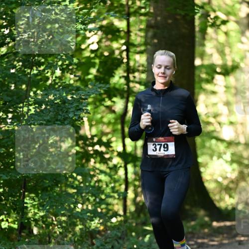 06.10.2024 - Bramfelder Halbmarathon 2024 Dr. Thomas Lammeyer http://msf.ph/oto/7338488 06.10.2024 10:27:12 Laufen 379 meine-sportfotos.de