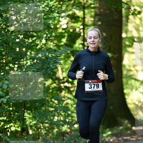 06.10.2024 - Bramfelder Halbmarathon 2024 Dr. Thomas Lammeyer http://msf.ph/oto/7338490 06.10.2024 10:27:12 Laufen 379 meine-sportfotos.de