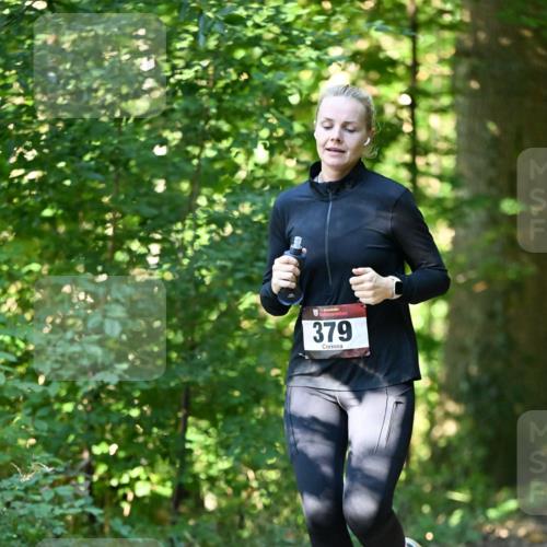 06.10.2024 - Bramfelder Halbmarathon 2024 Dr. Thomas Lammeyer http://msf.ph/oto/7338493 06.10.2024 10:27:12 Laufen 13, 379 meine-sportfotos.de