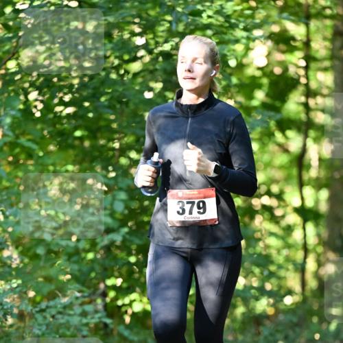 06.10.2024 - Bramfelder Halbmarathon 2024 Dr. Thomas Lammeyer http://msf.ph/oto/7338496 06.10.2024 10:27:13 Laufen 379 meine-sportfotos.de