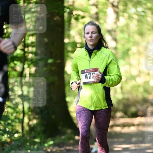 06.10.2024 - Bramfelder Halbmarathon 2024 Dr. Thomas Lammeyer http://msf.ph/oto/7338537 06.10.2024 10:27:25 Laufen 47 meine-sportfotos.de