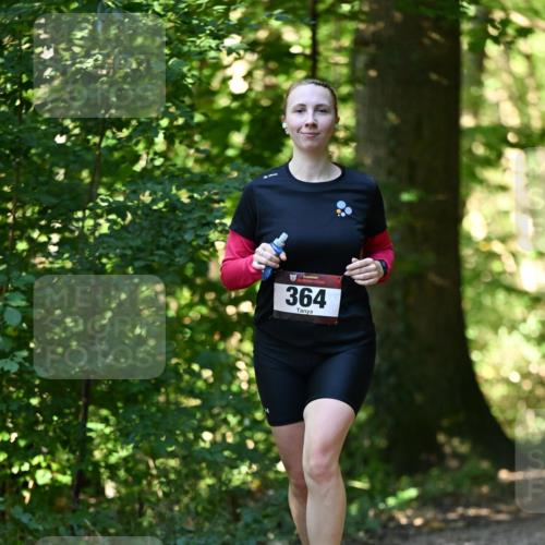 06.10.2024 - Bramfelder Halbmarathon 2024 Dr. Thomas Lammeyer http://msf.ph/oto/7338570 06.10.2024 10:27:42 Laufen 364 meine-sportfotos.de