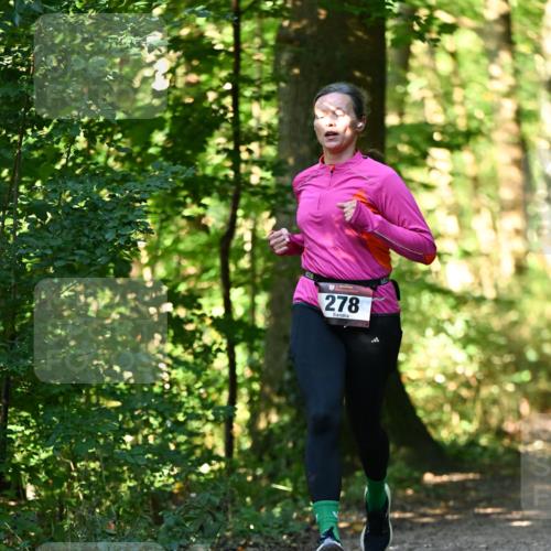 06.10.2024 - Bramfelder Halbmarathon 2024 Dr. Thomas Lammeyer http://msf.ph/oto/7338580 06.10.2024 10:27:48 Laufen 278 meine-sportfotos.de