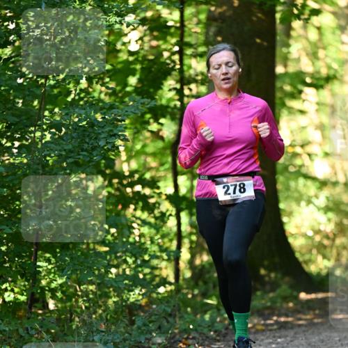 06.10.2024 - Bramfelder Halbmarathon 2024 Dr. Thomas Lammeyer http://msf.ph/oto/7338582 06.10.2024 10:27:48 Laufen 278 meine-sportfotos.de