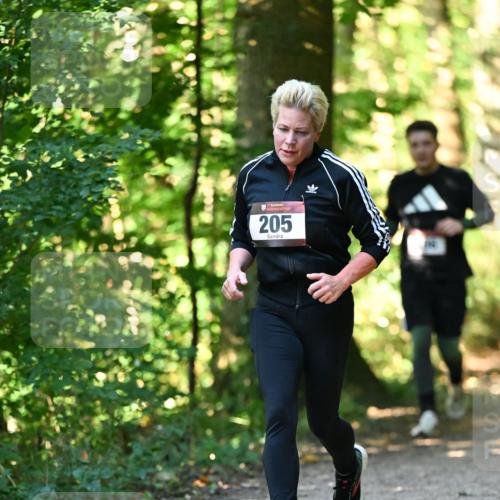 06.10.2024 - Bramfelder Halbmarathon 2024 Dr. Thomas Lammeyer http://msf.ph/oto/7338590 06.10.2024 10:27:52 Laufen 205 meine-sportfotos.de