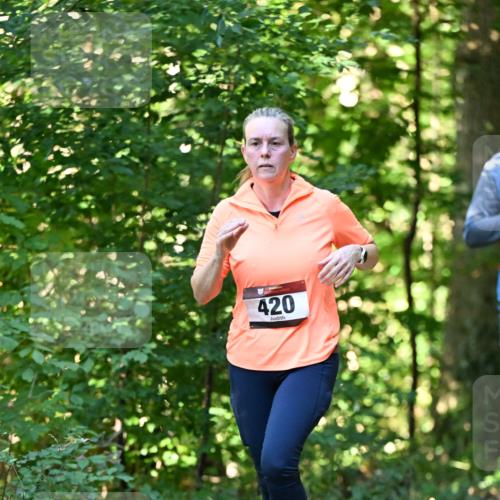 06.10.2024 - Bramfelder Halbmarathon 2024 Dr. Thomas Lammeyer http://msf.ph/oto/7338636 06.10.2024 10:28:09 Laufen 420 meine-sportfotos.de