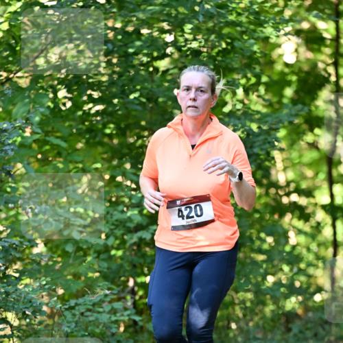 06.10.2024 - Bramfelder Halbmarathon 2024 Dr. Thomas Lammeyer http://msf.ph/oto/7338638 06.10.2024 10:28:09 Laufen 420 meine-sportfotos.de