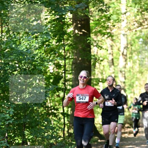 06.10.2024 - Bramfelder Halbmarathon 2024 Dr. Thomas Lammeyer http://msf.ph/oto/7338681 06.10.2024 10:28:21 Laufen 547 meine-sportfotos.de