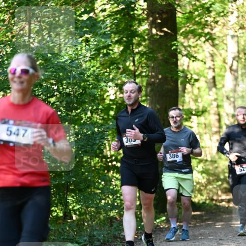 06.10.2024 - Bramfelder Halbmarathon 2024 Dr. Thomas Lammeyer http://msf.ph/oto/7338690 06.10.2024 10:28:23 Laufen 547, 303, 386, 529 meine-sportfotos.de