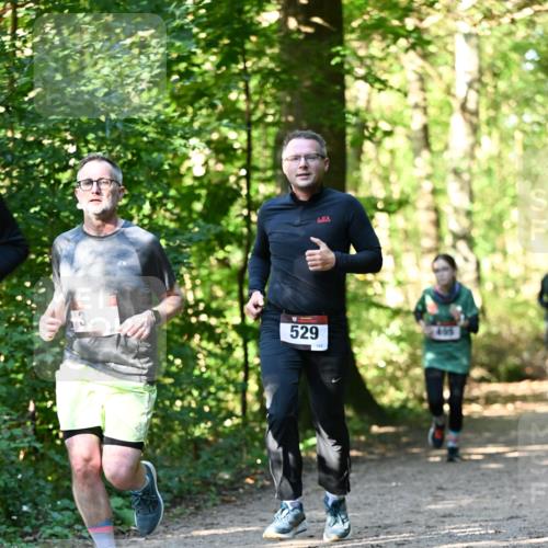 06.10.2024 - Bramfelder Halbmarathon 2024 Dr. Thomas Lammeyer http://msf.ph/oto/7338698 06.10.2024 10:28:24 Laufen 529, 435 meine-sportfotos.de