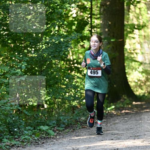 06.10.2024 - Bramfelder Halbmarathon 2024 Dr. Thomas Lammeyer http://msf.ph/oto/7338706 06.10.2024 10:28:26 Laufen 495 meine-sportfotos.de