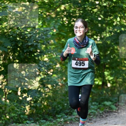 06.10.2024 - Bramfelder Halbmarathon 2024 Dr. Thomas Lammeyer http://msf.ph/oto/7338716 06.10.2024 10:28:28 Laufen 495 meine-sportfotos.de