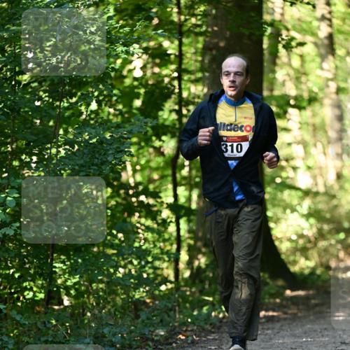 06.10.2024 - Bramfelder Halbmarathon 2024 Dr. Thomas Lammeyer http://msf.ph/oto/7338759 06.10.2024 10:28:37 Laufen 310 meine-sportfotos.de