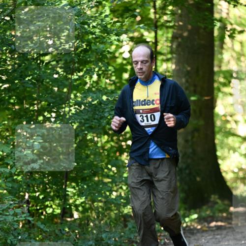 06.10.2024 - Bramfelder Halbmarathon 2024 Dr. Thomas Lammeyer http://msf.ph/oto/7338763 06.10.2024 10:28:38 Laufen 310 meine-sportfotos.de