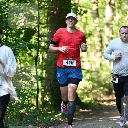 06.10.2024 - Bramfelder Halbmarathon 2024 Dr. Thomas Lammeyer http://msf.ph/oto/7338821 06.10.2024 10:28:52 Laufen 416, 246 meine-sportfotos.de
