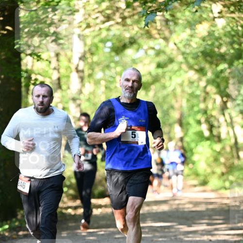 06.10.2024 - Bramfelder Halbmarathon 2024 Dr. Thomas Lammeyer http://msf.ph/oto/7338824 06.10.2024 10:28:54 Laufen 246, 5, 64 meine-sportfotos.de