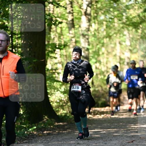 06.10.2024 - Bramfelder Halbmarathon 2024 Dr. Thomas Lammeyer http://msf.ph/oto/7338848 06.10.2024 10:28:59 Laufen 526 meine-sportfotos.de
