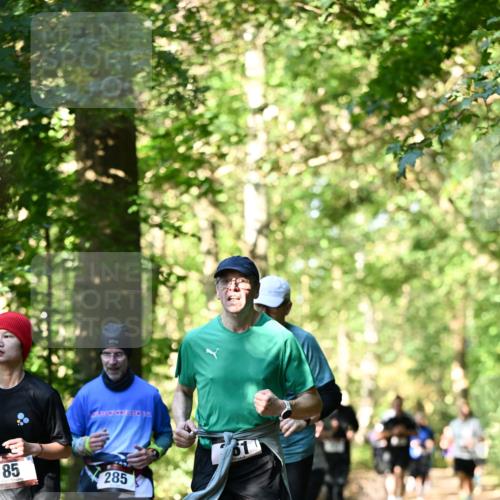 06.10.2024 - Bramfelder Halbmarathon 2024 Dr. Thomas Lammeyer http://msf.ph/oto/7338873 06.10.2024 10:29:13 Laufen 38, 85, 285 meine-sportfotos.de