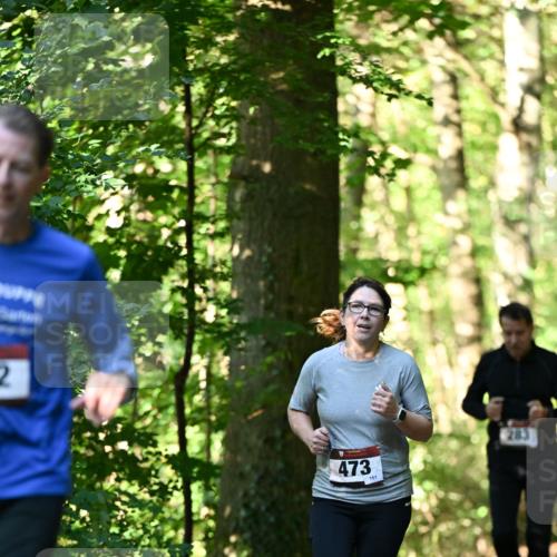 06.10.2024 - Bramfelder Halbmarathon 2024 Dr. Thomas Lammeyer http://msf.ph/oto/7338878 06.10.2024 10:29:15 Laufen 2, 473, 151, 283 meine-sportfotos.de