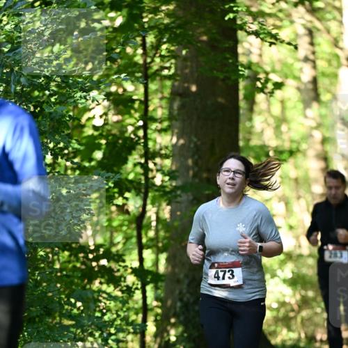 06.10.2024 - Bramfelder Halbmarathon 2024 Dr. Thomas Lammeyer http://msf.ph/oto/7338880 06.10.2024 10:29:16 Laufen 473, 151 meine-sportfotos.de